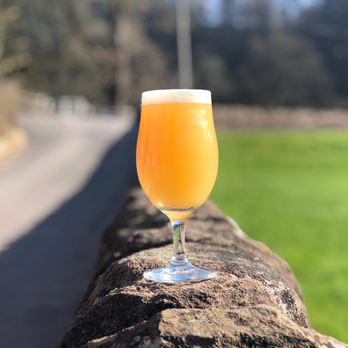 Dexter & Jones (@dexterandjones) on Twitter photo Freshly packaged to be poured this weekend. Our collaboration with <a href="/fivecloudbrewco/">Fiveclouds Brew Co.</a> โNo, Youโre A Jellyfishโ is a pillowy and heavily hopped Session IPA with Citra, Mosaic and El Dorado. Expect plenty of orange, grapefruit and passion fruit vibes.
Canโt wait for you to try it! Freshly packaged to be poured this weekend. Our collaboration with <a href="/fivecloudbrewco/">Fiveclouds Brew Co.</a> โNo, Youโre A Jellyfishโ is a pillowy and heavily hopped Session IPA with Citra, Mosaic and El Dorado. Expect plenty of orange, grapefruit and passion fruit vibes.
Canโt wait for you to try it!