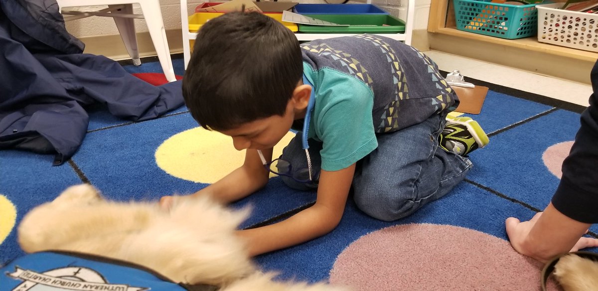 AUTsomeK2's tweet photo. There's just something about doggie paws that is so relaxing. 😊 We love our mornings with Amos the #comfortdog. #mres19 https://t.co/1rzPEcFC6t