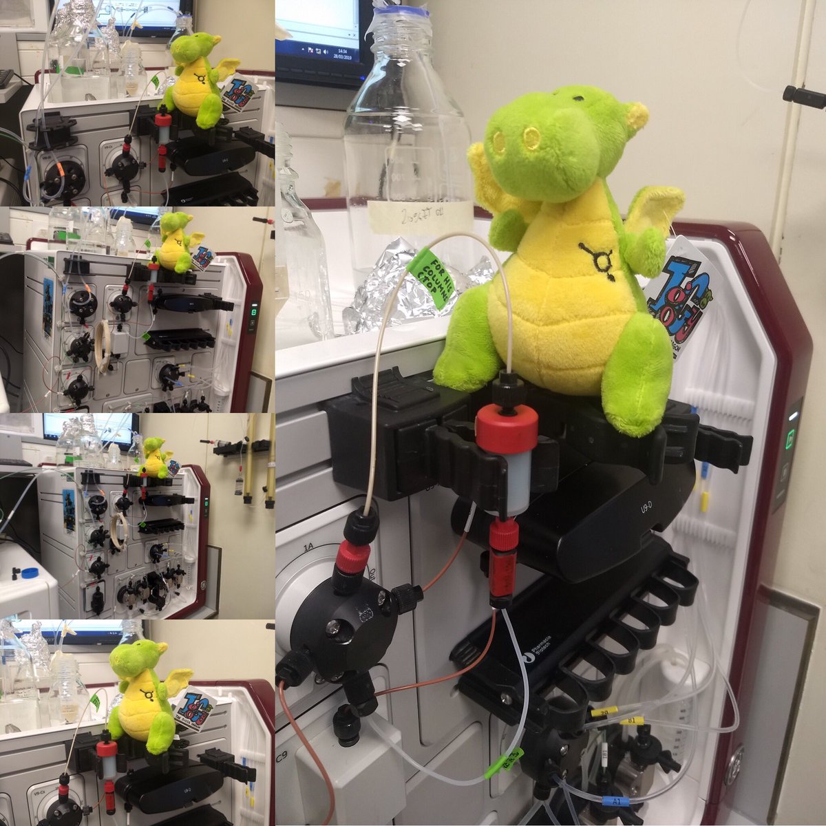 Stratech_UK's tweet photo. @Biossusa IgGy has had a busy day working on the Akta @CamBiochem 👨‍🔬👩‍🔬🔬🧬🧪🦠🧫 #Stratech https://t.co/3tFH9viX7J