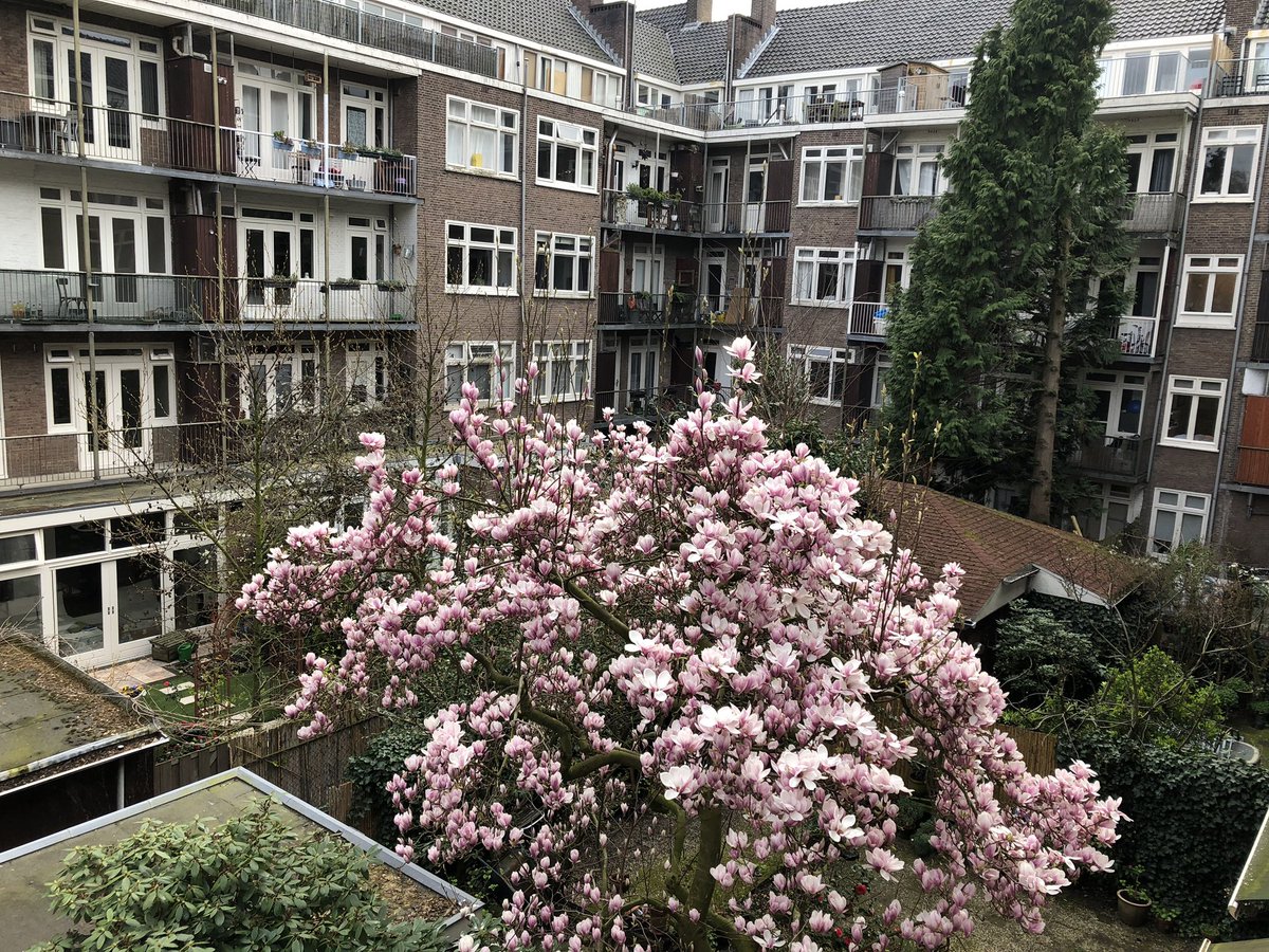 KawaNemir1's tweet photo. Dara Anne Franka delal.

Bihar hateve Amsterdamê. https://t.co/xfgN4bzl0Z