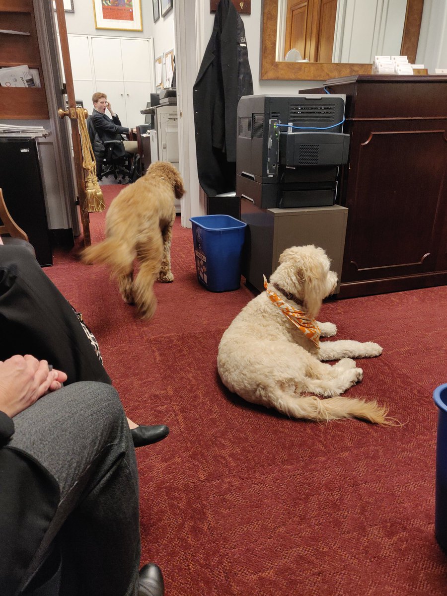 Best office reception so far? @RepCohen's 
#ASBMBHillDay2019 #ASBMBHillDay #ScienceAdvocacy