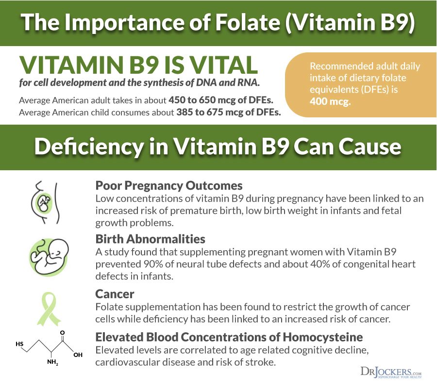 SaigeChefs's tweet photo. Leafy greens like the arugula in our new Spaghetti Squash a la Pesto are a great way to introduce more folate into your diet. Check out the ways we benefit from folate, and other foods high in this B-vitamin: https://t.co/764mUEZEEW #nutrition #HealthyFood #vitaminb https://t.co/QAItBeT8lU