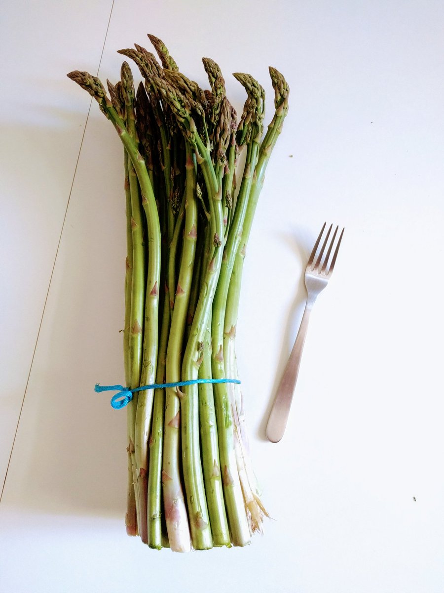 neilarise's tweet photo. Now THAT'S asparagus. #ForkForScale #Aranjuez https://t.co/1LlWz0f6XY