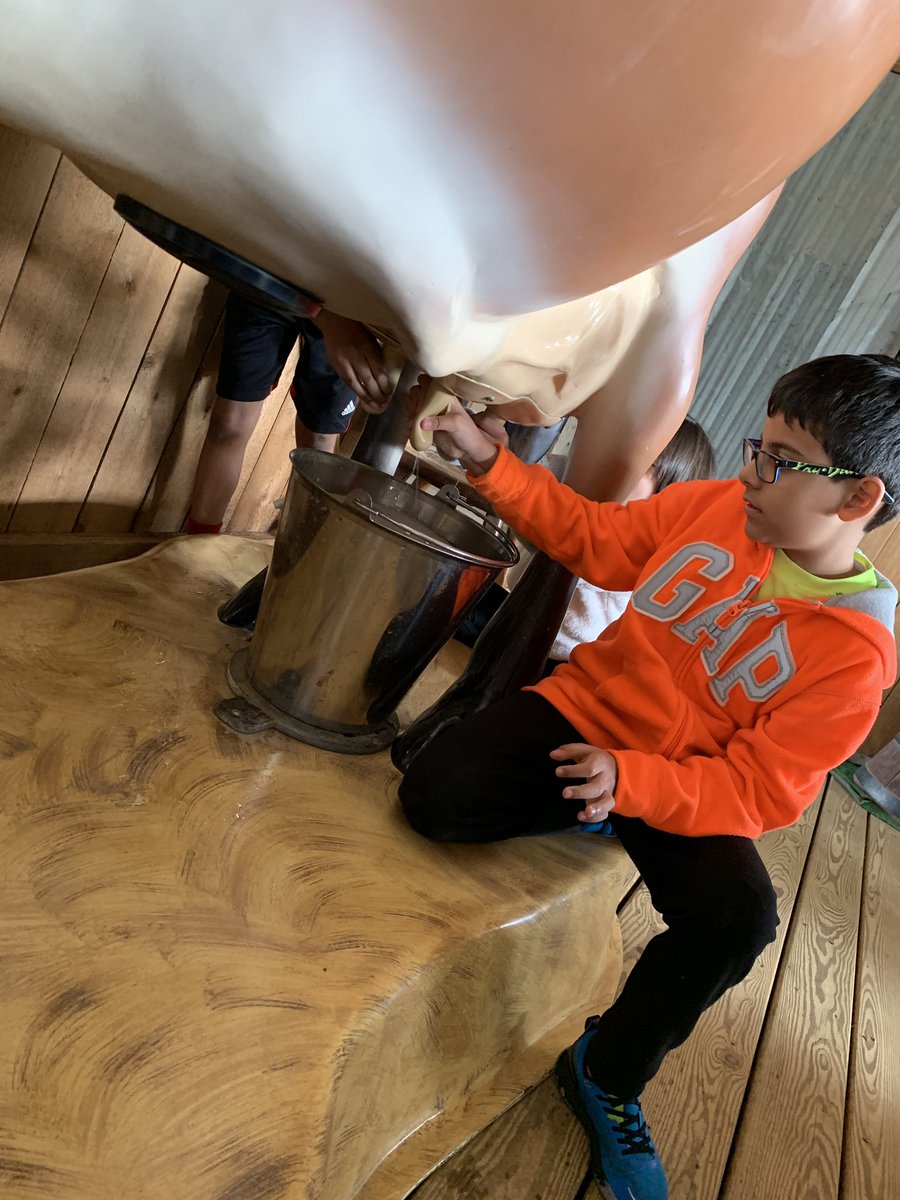 Ashley Dodson tweet media