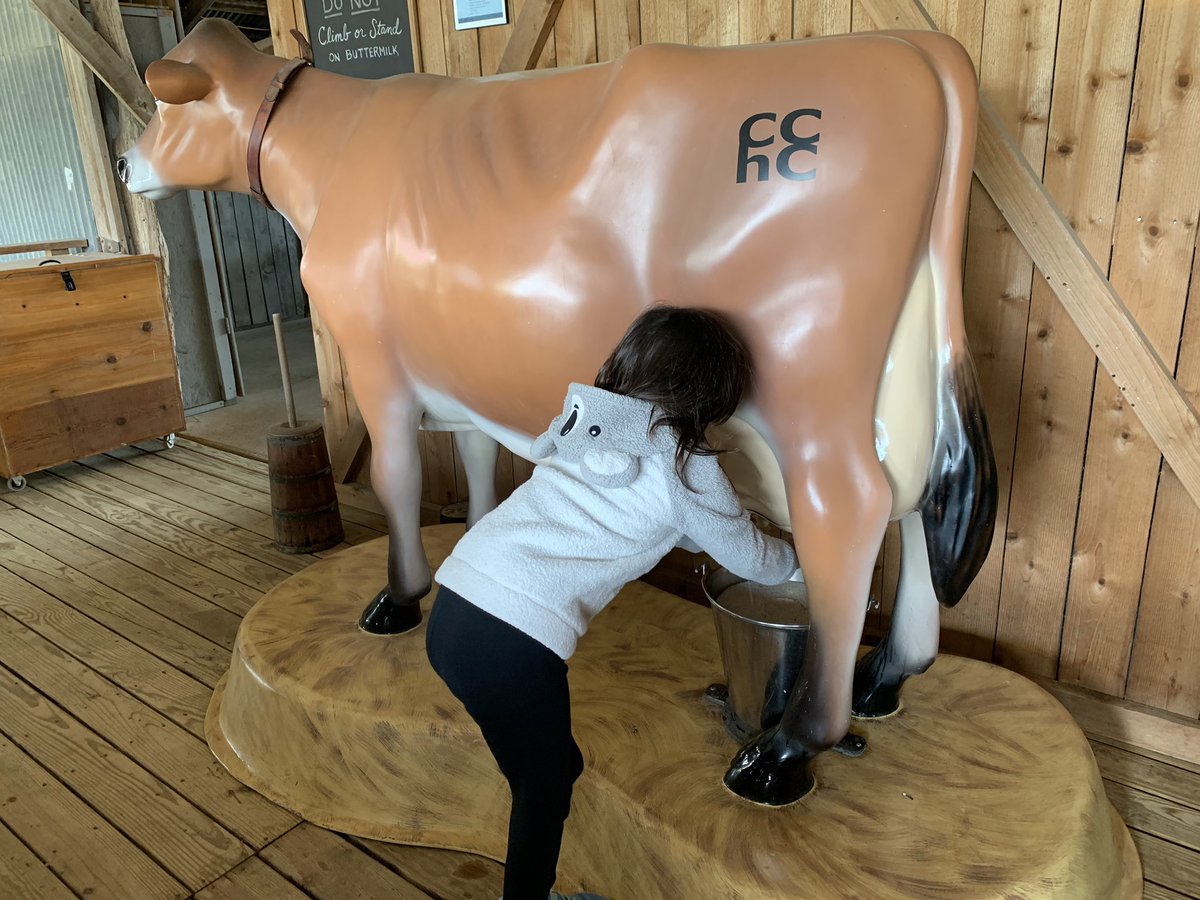 Ashley Dodson tweet media