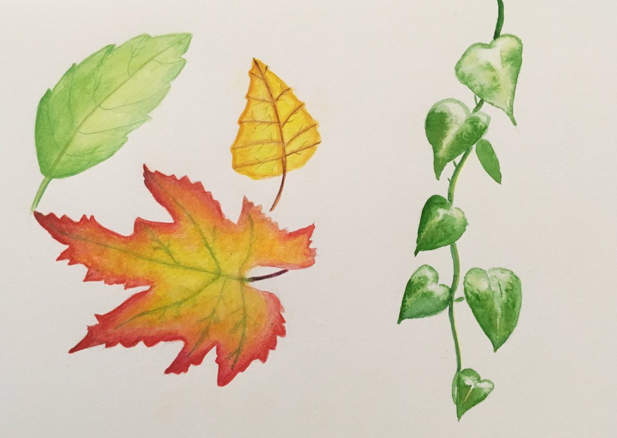 rtifleur's tweet photo. #painting some #leaves with #watercolour.
.
.
.
#tekening #schilderen #amsterdambased https://t.co/PemVL3weN6