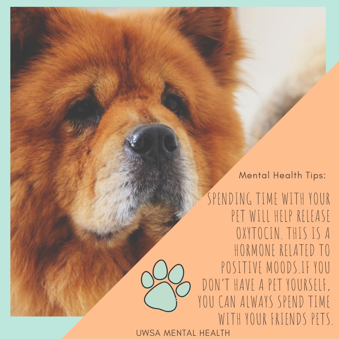 UWMentalHealth's tweet photo. https://t.co/50kGpBPnTz
