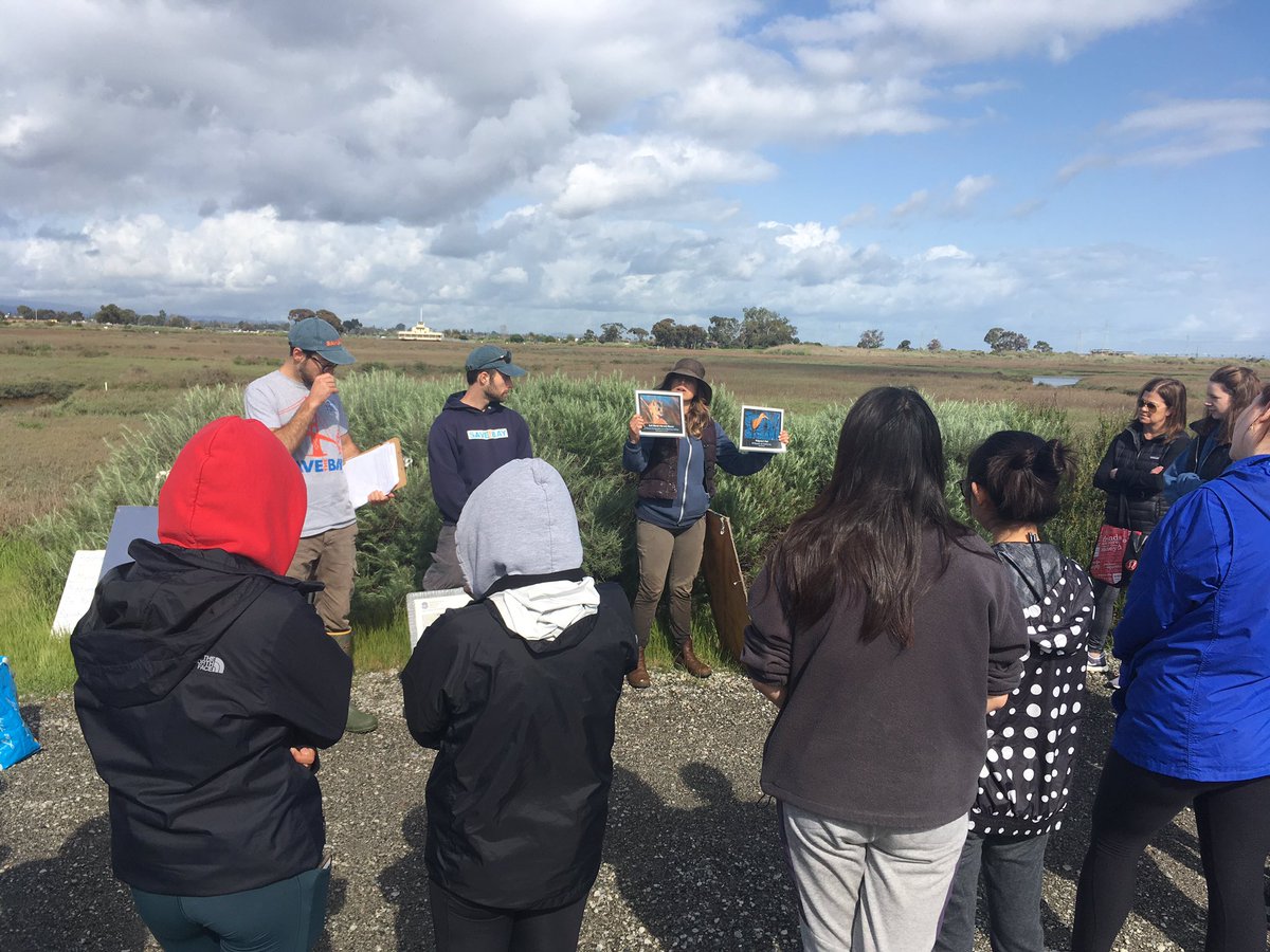 TechBioBek's tweet image. Team #NDBtigers #apbio3 collecting data with @saveSFbay #citsci