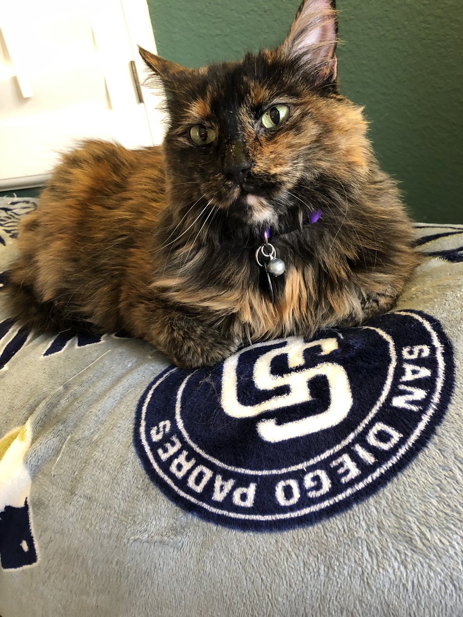 coach_B_rain's tweet photo. #FriarFaithful - it’s opening day for all of us!!!! https://t.co/jQByVbd9E9