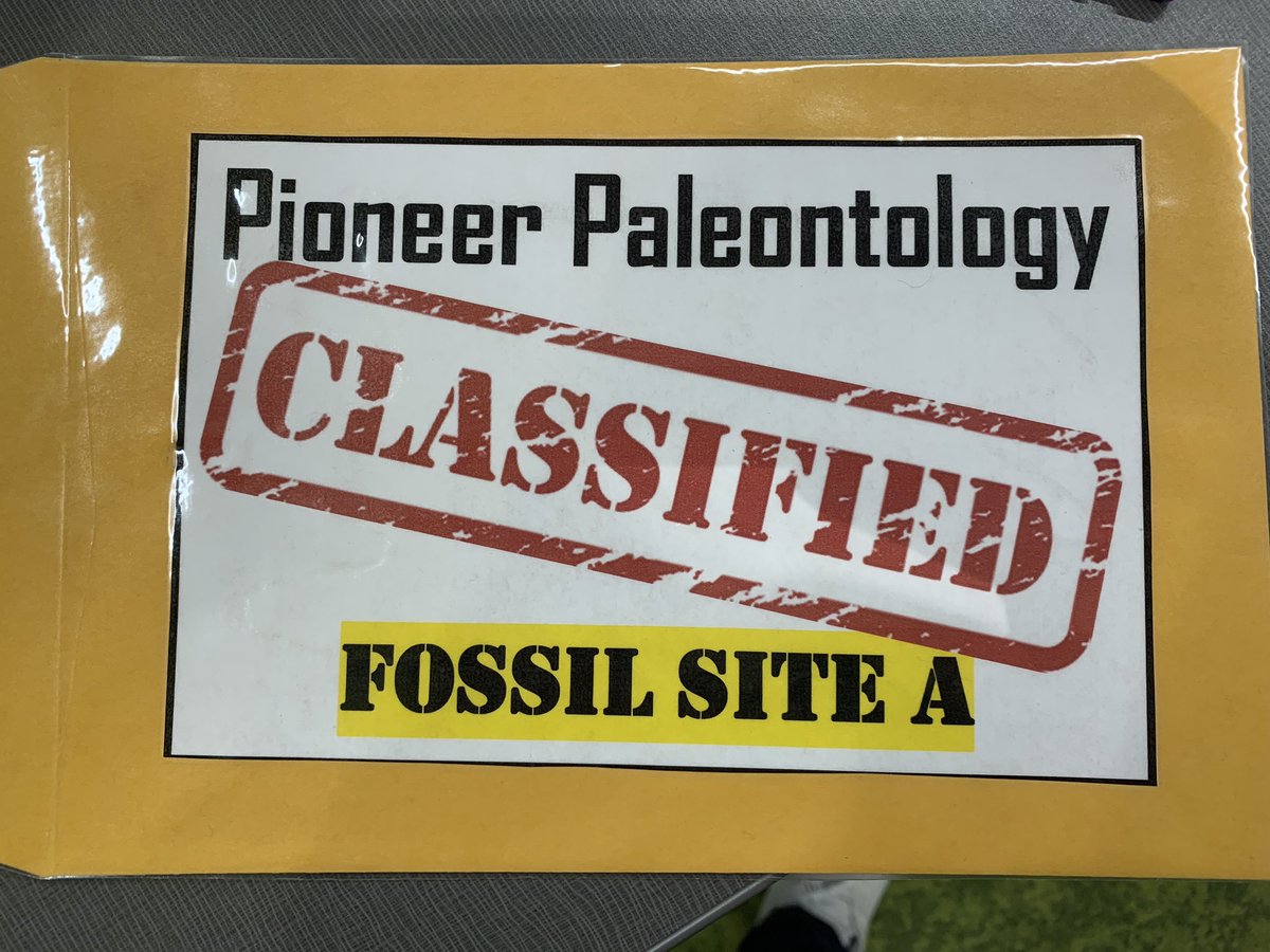 PioneerScience5's tweet photo. Last week we were artists. This week we are paleontologists. The fun never ends. @EKD_Elementary #ekd_learning https://t.co/g5a7riXhM9