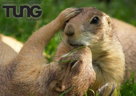 TUNGbrush's tweet photo. Squirrel!! #ThursdayKisses #ThursdayTUNGs #TUNGBrush #BadBreath #Kisses #FreshBreath #Diabetes #10second #BeYourAdventure #10SecondDifference #Review #BYA #KIss https://t.co/mQFZgL7UqH