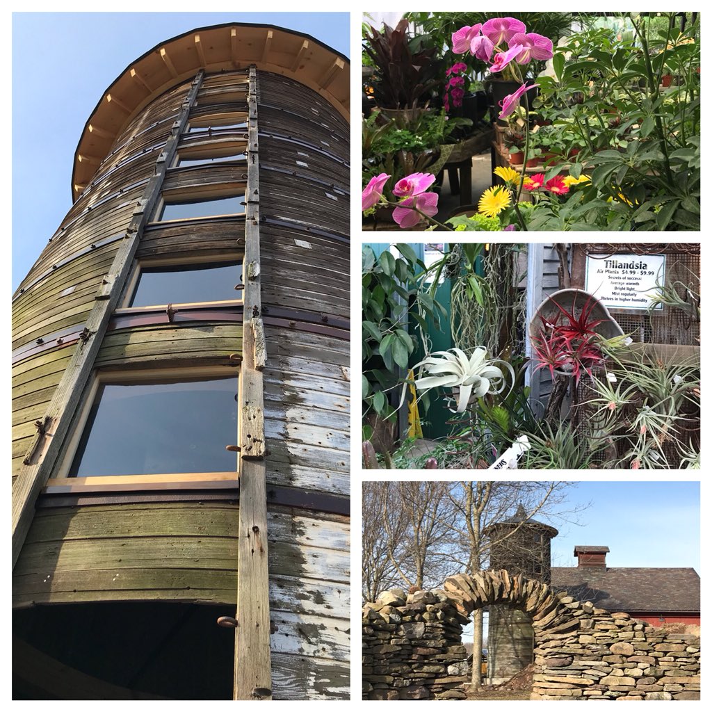 greenbirdspirit's tweet image. #VermontSpring in Burlington #Intervale restoration of silo @ event barn &amp;amp; happy succulents in green house 🎍🌺🌞