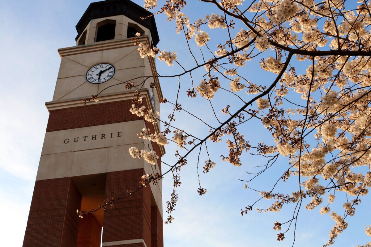 brysonkeltner's tweet photo. You will never convince me that there is a more beautiful place than @wku during cherry blossom season. https://t.co/t5Z84fvJp1