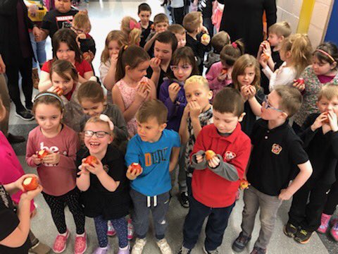 BGC Hamilton-Halton tweet media