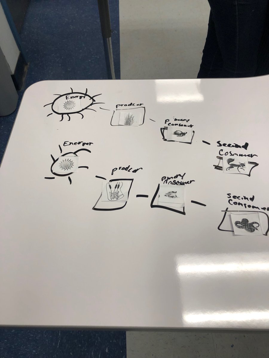 prt52's tweet photo. Utilizing the new tables that our Academic Boosters helped purchase! Great job 4th grade! #savingtrees #packsaddle #llano #improvinginstruction #txed https://t.co/3wekclBnnm