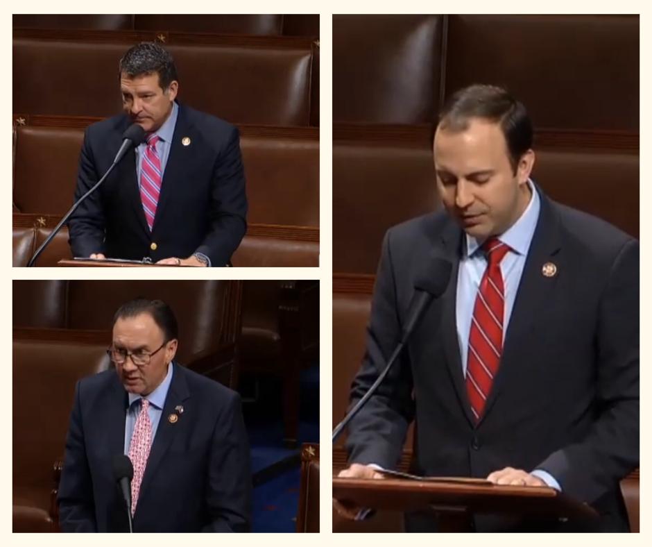 nrlc's tweet photo. We would like to thank @RepMarkGreen and @RepLanceGooden for offering unanimous consent requests yesterday for the #BornAliveAct. Thank you to @RepPeteOlson who did so this morning. It has now been 24 times that Democrats have blocked this bill. 24 times. #ResistInfanticide https://t.co/YllgaQ16xz