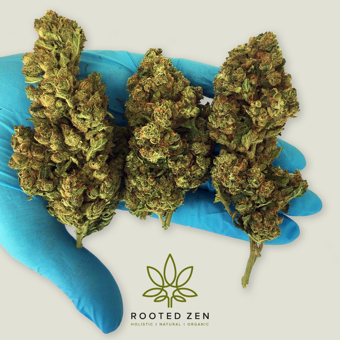 JosephLeigh18's tweet photo. Wow! 6G buds, Harley Quinn DM for further info https://t.co/HKSc6kw3G5