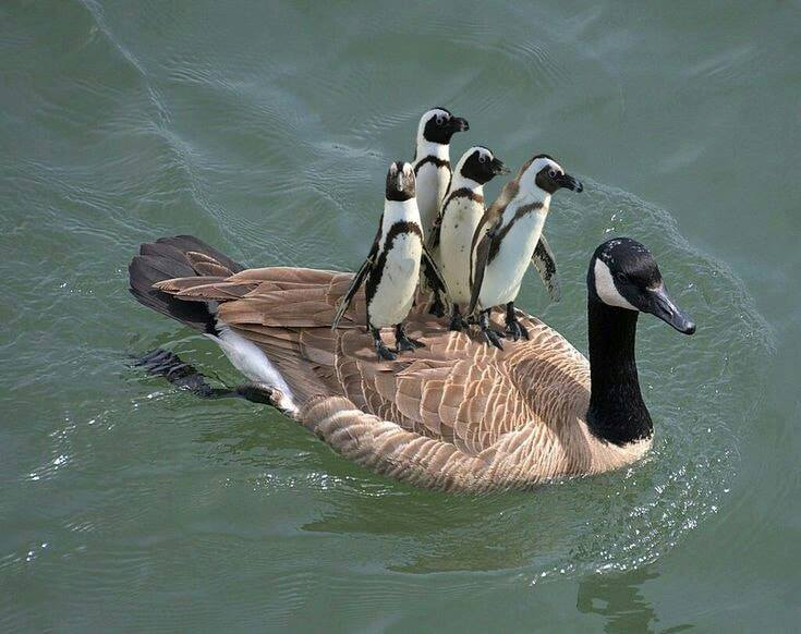 Just loved this........😃😃