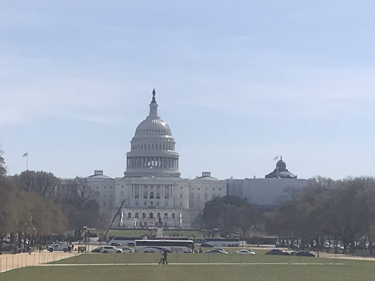 LSUTigersVoice's tweet photo. A nice little stroll through D.C. for @JohnBrady_Coach and me and several “Geaux Tigers” from some Washington Tigers on the street. #BootUp #WeGotLost https://t.co/79KCk95xSr