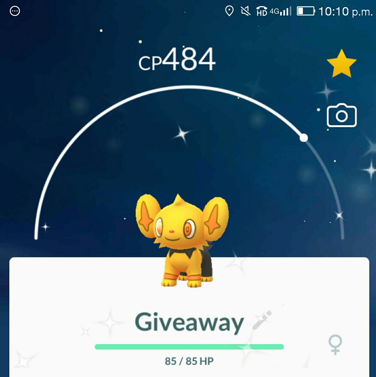 Shankha_Deep17's tweet image. Giveaway Time ✨

🔥🔥One random winner gets to Choose between Shiny Alolan Marowak /Raichu , Absol , Shinx

To enter ♠

✔ Follow me @Shankha_Deep17  for #PokemonGo content
✔Retweet &amp;amp; Like ❤ this tweet 
✔Tag 3 friends 

Winner will be selected on April 4th 2019
Good luck 🤗