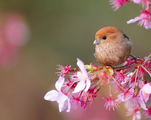 Moments of Clarity imanactress.com/2019/03/28/mom…