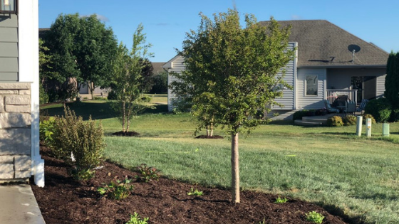 iTreesChicago's tweet photo. We've got the Top 10 Trees for Tight Spaces! We just love our No. 1 pick... let us know what you think!
.
👉 Check it out https://t.co/MfOZmS6nTJ
.
#itrees #chicagolandtrees #retailtrees #treesforsmallspaces #top10countdown #treesplanted #treesdelivered #thursdaythoughts https://t.co/LVgIsa6yBE