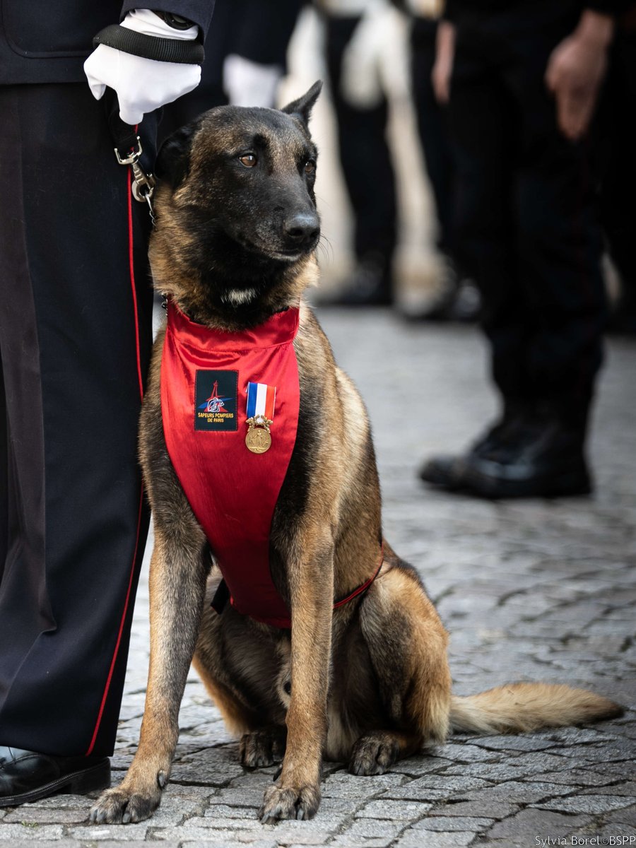 #Cérémonie “À ces héros qui ont reçu le courage en héritage. La bravoure en  testament” 
Ce matin, le Ministre de l’intérieur, <a href="/CCastaner/">Christophe Castaner</a> a rendu hommage aux sapeurs-pompiers de Paris pour leurs récents engagements dans les opérations de secours rue de Trévise et rue  Erlanger.