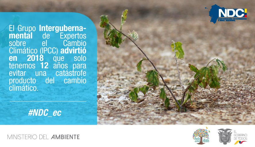 Dirección Zonal 2 MAATE tweet media