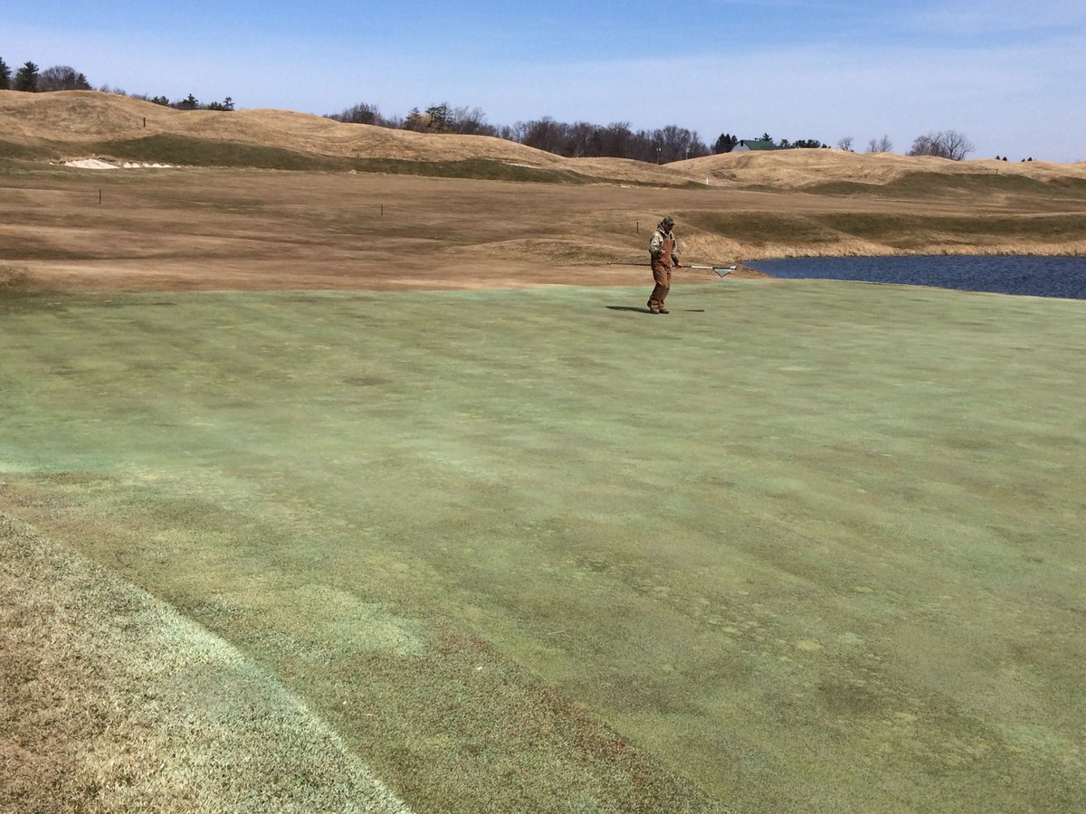 GreensHgc's tweet photo. We’re back!  Greens getting first mowing of the year. https://t.co/SqHnA2s9zD