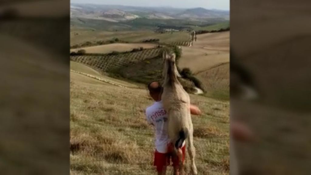 informativost5's tweet photo. El hombre que cargaba con el caballo. Por @davidjcasas
https://t.co/YMQXXOlmuc https://t.co/93nYgYCFpF