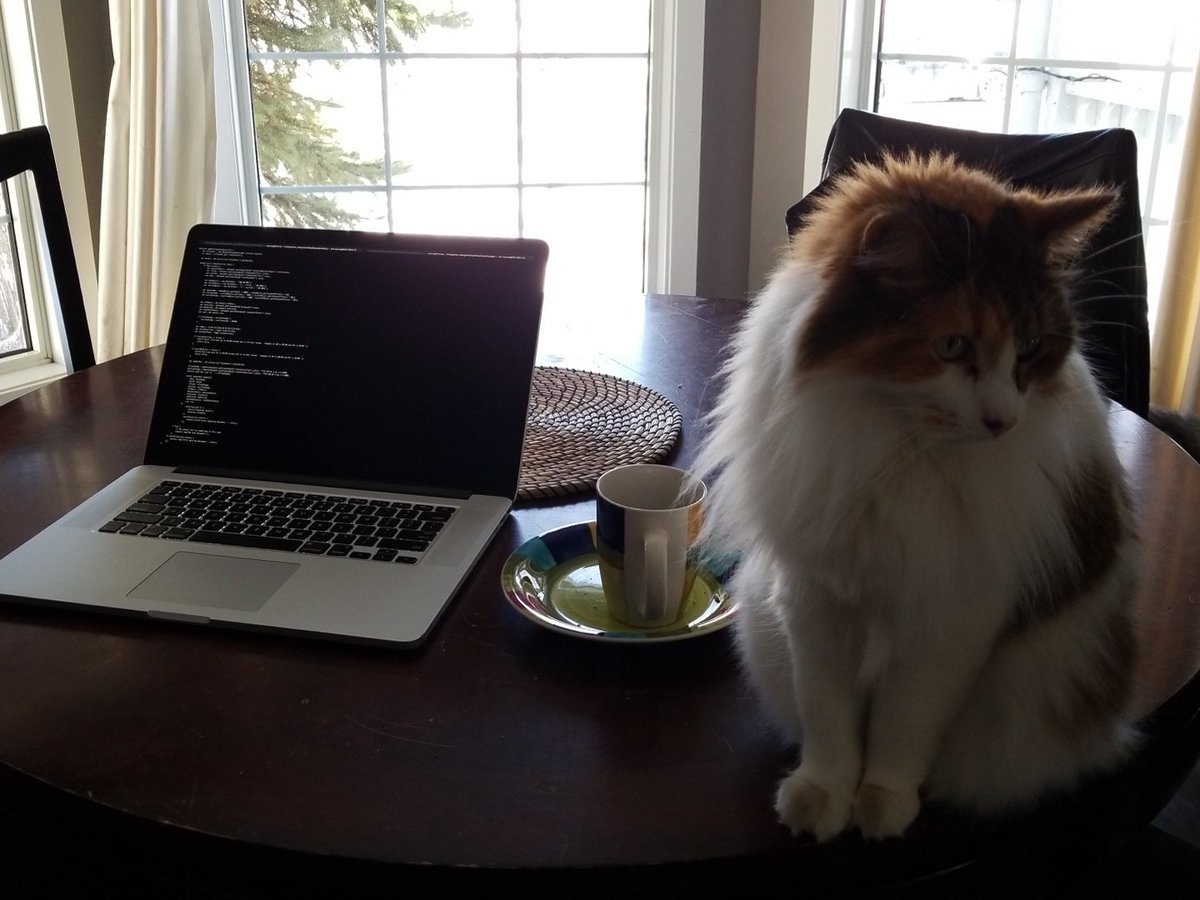bytespryte's tweet image. Thursday requirements:

⌨️#code⌨️, 😺#cats😺, and ☕#coffee☕. 

Not necessarily in that order.

#webdeveloper #appdevelopment
#catlovers #coffeetime