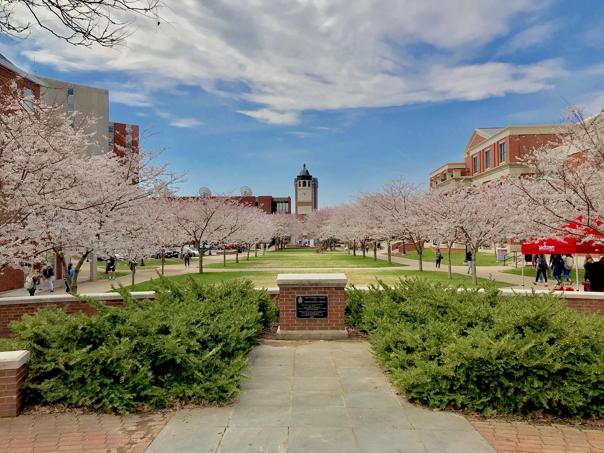 MattFosterTV's tweet photo. Okay, I see you @wku 👀

Spring has sprung on the Hill. https://t.co/Dt8DAhPTKT