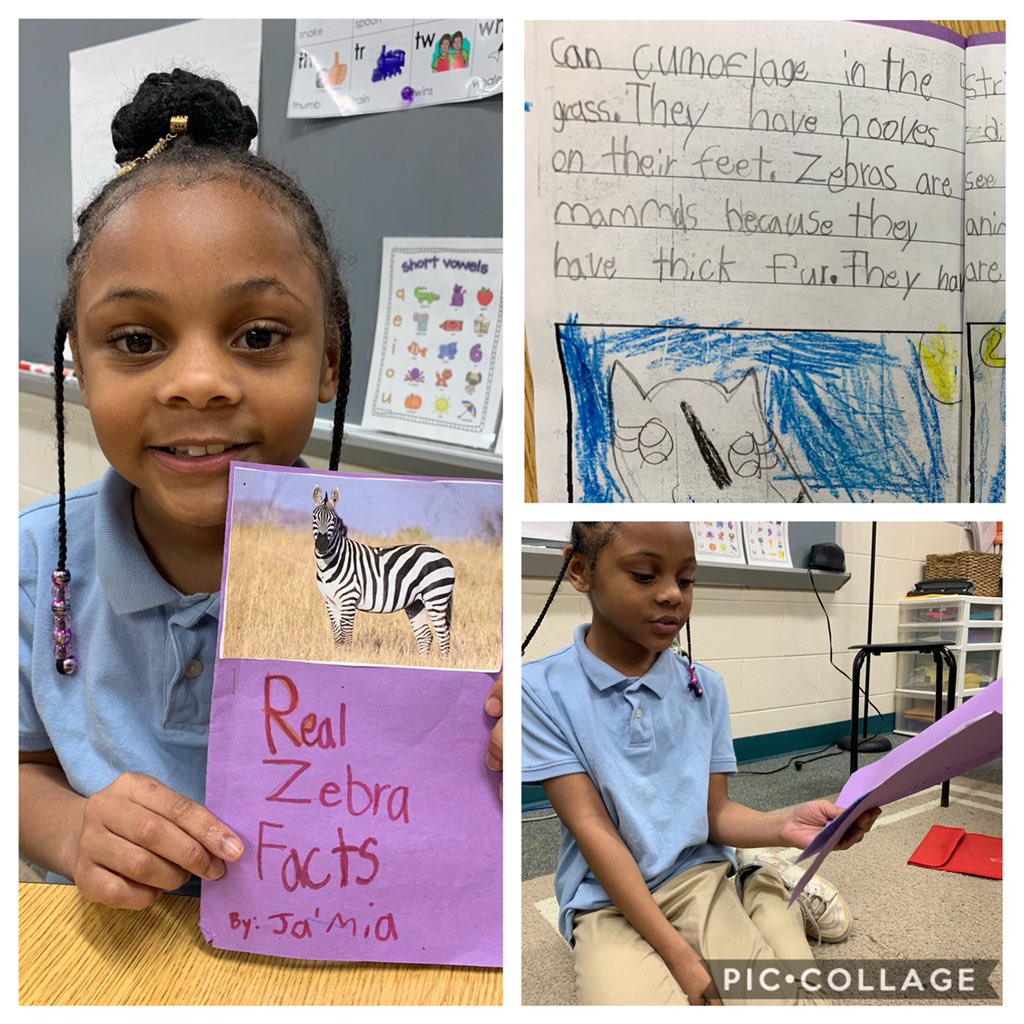 This 1st grade student was so proud of the book she published that she brought it to small group and read it to us! The confidence in reading and writing that she’s gained this year is incredible! #studentwriters #loveSCschools  #absolutelyalexander 🦓✏️📓