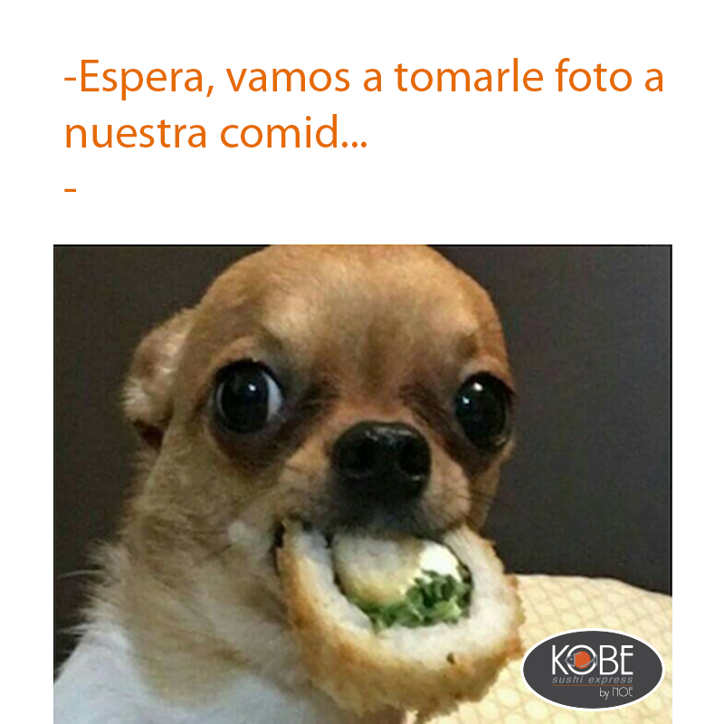 KobeSushiExpres's tweet photo. Haz RT si eres de los que no puede esperar la foto. https://t.co/4ouLI27yEz