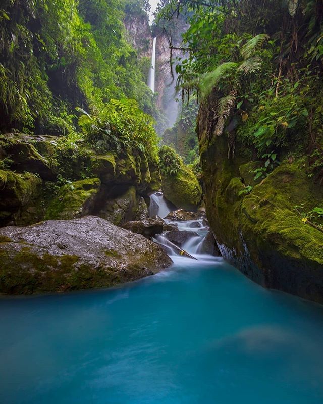 RichCoastVIP's tweet image. Once a year, go someplace you’ve never been before 💚🍃.
.
📍 #RioBarroso
📸 @paulurena
.
.
.
.
.
.
.
.
.
.
.
.
.
.
#costarica #vacation #travel #visitcostarica #travelinspiration #beautifulplaces #puravida #photooftheday #beach #sun #sea #amazing #trave… ift.tt/2OwxeWP