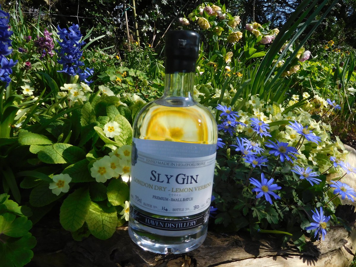 Sly_Gin's tweet image. Gorgeous day in Haven! #SpringGin #LemonVerbena #LondonDry