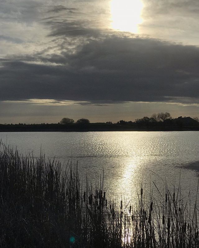 gofitguide_hope's tweet photo. Mornin’ Sunshine 🌞 #morninghike #contralomareservoir https://t.co/dxa61RMPuF https://t.co/TPT6z1Bnb6