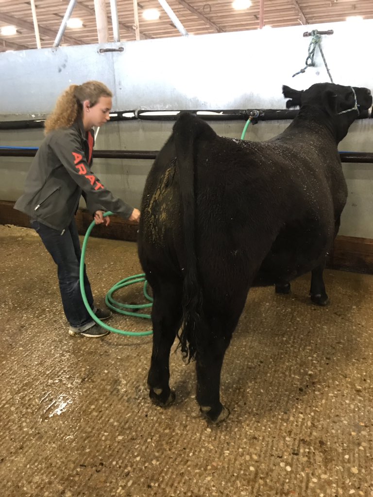 Last major stockshow for these two girls! 😢 #stockshowlife #memories