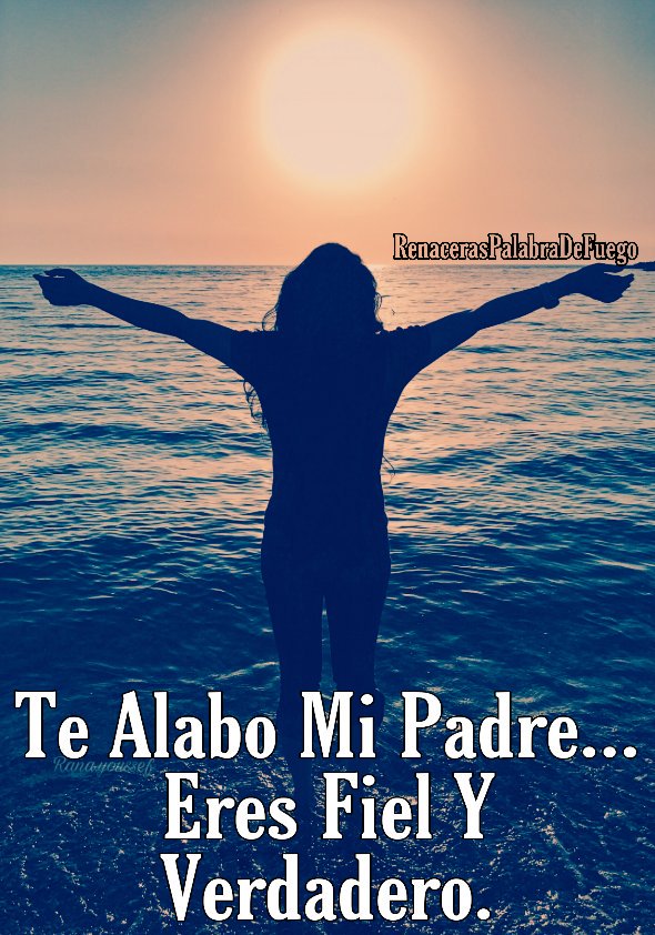 RenacerasDe's tweet photo. No Importa Mi Circunstancia... Yo Te Alabo Creadorrrrrrrrr...
#SeTrataDeFe 🔥 
#RenacerasPalabraDeFuego 👑 https://t.co/zPSUzER8Qn