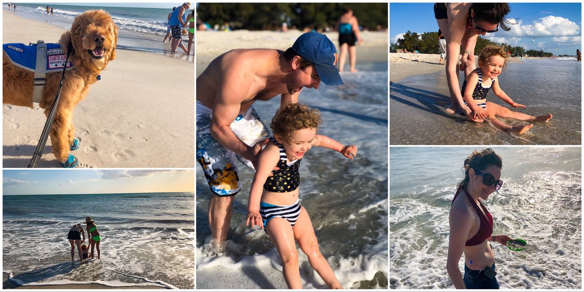 MorChuck21's tweet photo. #ThursdayThoughts enjoy the #littlemoments w/#family, especially @ the 🏖, they all + up 2 1 #bigdeal. #morchuck21 #tinyoverlordgrantham #ilovethebeach #visitflorida #annamariaisland #tandemdiabetes #tsliminthewild #dexcom #g6 #target #t1dadvocate #t1d #diabetesawareness https://t.co/EEuESmtnt2