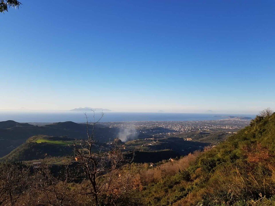 ParcoJalari1's tweet photo. Domenica 31 marzo ti proponiamo una giornata all’aria aperta tra arte, natura e gastronomia 🌳🌞🍴
🗣 Ingresso #gratuito e visita guidata #gratuita per chi prenota il pranzo in agriturismo. Menu 👉 https://t.co/Nr4dr1B5Dl
Ci sono ancora posti disponibili
090 974 6245 | 3927911554 https://t.co/QCSTkYF4jh