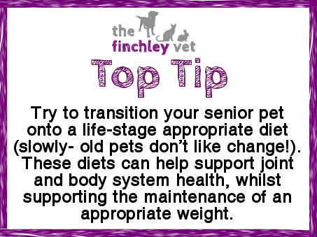 The #Finchley Vet's Top Tip
Feed old cats and dogs an age-appropriate diet
Try to transition your senior pet onto a life-stage appropriate diet. These diets can help support joint and body health, whilst supporting the maintenance of an appropriate weight.
thefinchleyvet.co.uk/single-post/20…