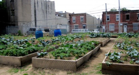 Want to learn more about community gardening and farming on vacant land in Philadelphia? Garden Justice Legal Initiative and Soil Generation invite you to come discuss legal land access and preservation. This program is FREE buff.ly/2Uc4eZD