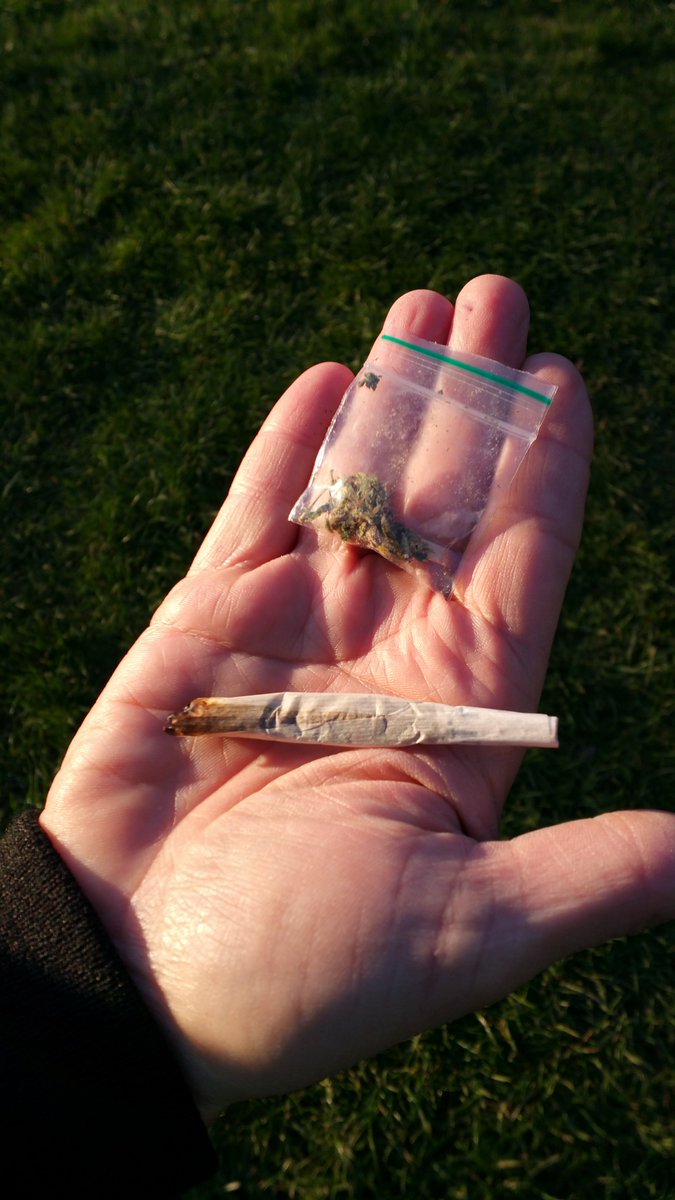 ShirleyWMP's tweet photo. Pcso Alton and Gambino in Shirley Park. Caught a male smoking cannabis. Op intercept bringing in the results. #opintercept https://t.co/KElm2ooTds