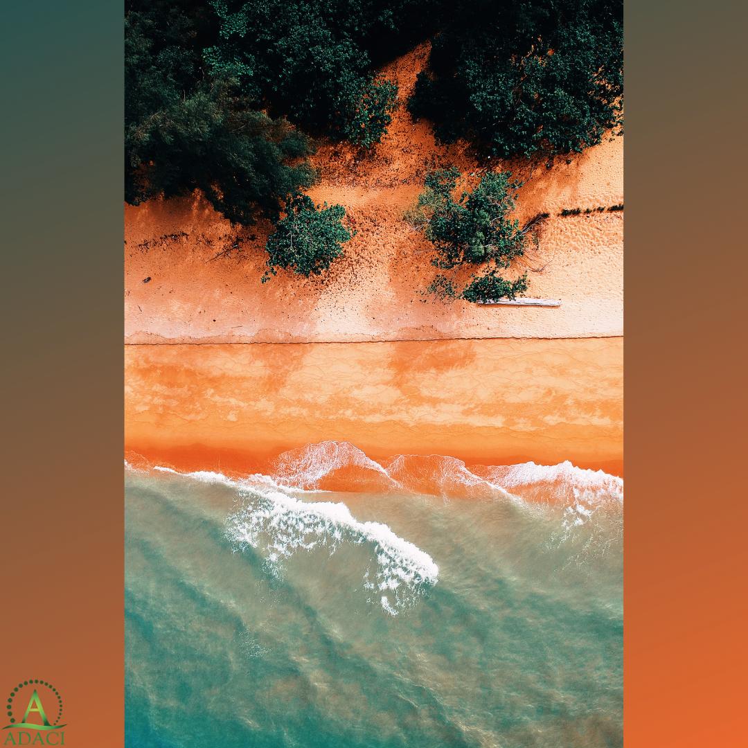 MyADACI's tweet image. " Going with the flow can help with making decisions, stressful situations, and everyday life. Remember to enjoy the simple things and moments throughout each single day." - Anonymous
#morningmotivation #focus #keepitpushin #boss #entrepreneurs #T8KingOver #ADACI