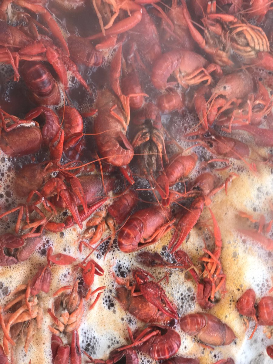 sethcit's tweet photo. #crawdaddysonsite #therustic https://t.co/qeOcCapAf4