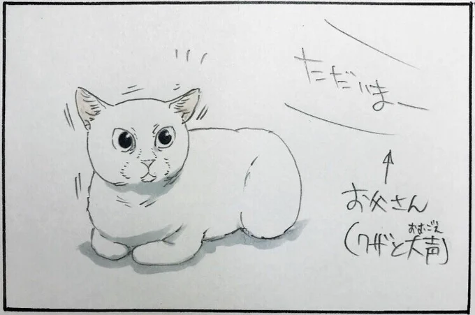 『整える』 #拾い猫のモチャ 