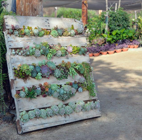 It's time to start thinking about if you will be #gardening this spring/summer. If you're short on space here are some #verticalgardens you can fit in smaller spaces. #smallspace ow.ly/lSlh30obGow