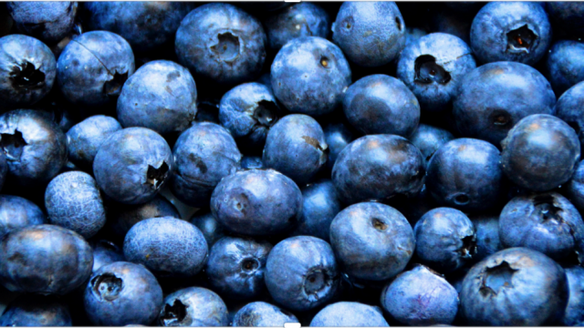 FitnessHacks101's tweet photo. Why blueberries should be your new pre-workout https://t.co/tqUAVz1gSU https://t.co/OMVci8cbeh