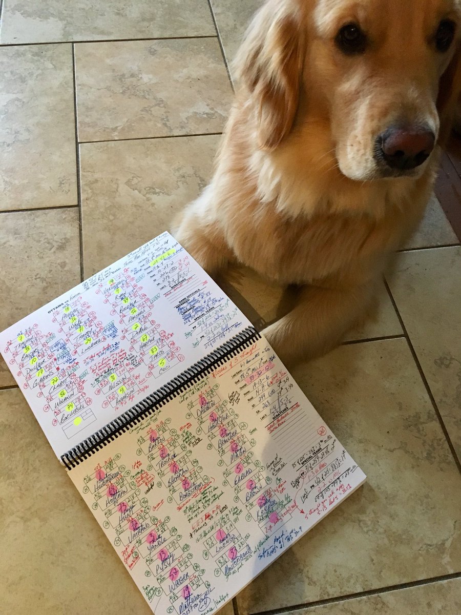 GordWilson's tweet image. May look like a dog’s breakfast to some, but Jackson and I can figure it out. He just listens to @PxPOttawa on TSN1200 anyway.  
7:30 faceoff as the Sens face Florida. 
#loyallistener
#sometimes
#hardlyever 
#JACKSON!